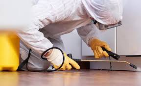 Trusted St Bonaventure, NY Pest control Experts